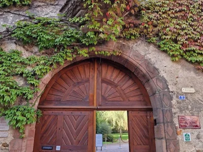 Atelier-8211-Mets-et-Vins-Le-fromage-est-roi-8211-30-04-2026-8211-Kaysersberg-Vignoble_3530187