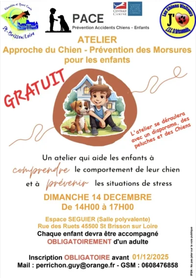 Atelier-Approche-du-chien-8211-Saint-Brisson-sur-Loire_3293171