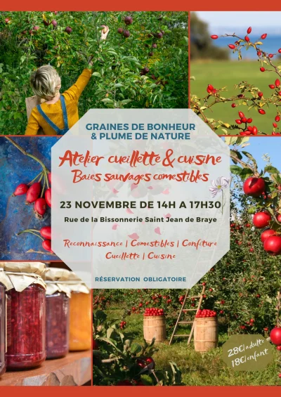 Atelier-Cueillette-et-Confiture-8211-Saint-Jean-de-Braye_3242239