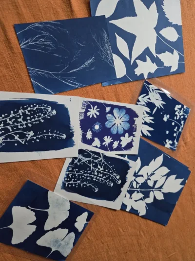 Atelier-Cyanotype-a-Pitgam-8211-Pitgam_3259553