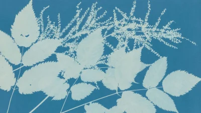 Atelier-Cyanotype-–-Bicentenaire-de-la-photographie-8211-Chartres_3838009