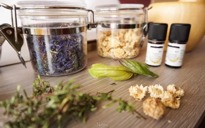 Atelier-Le-pouvoir-des-plantes-8211-17-05-2025-8211-Saint-Maximin_2245152