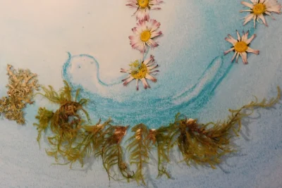 Atelier-Pastel-sec-Land-art-creations-a-base-de-materiaux-vegetaux-8211-18-04-2026-8211-Maraye-en-Othe_3487522