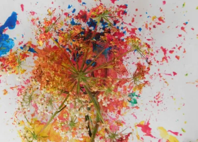 Atelier-Peinture-Land-art-creations-a-base-de-materiaux-vegetaux-8211-23-04-2026-8211-Maraye-en-Othe_3487488
