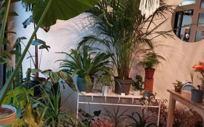 Atelier-Santoline-8211-Bayonne_2092077-1