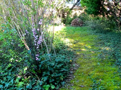 Atelier-Succa-8211-Jardin-d039artiste_738839