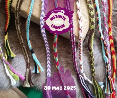 Atelier-Tressage-de-boucles-8211-30-05-2025-8211-Vasles_2613148