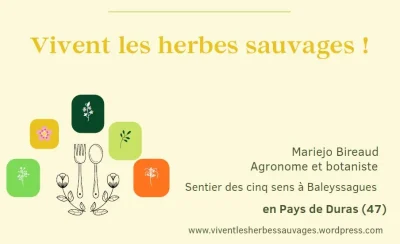 Atelier-a-quotfleur-de-sensquot-Approche-sensorielle-et-artistique-8211-01-01-2026-8211-Baleyssagues_3470784