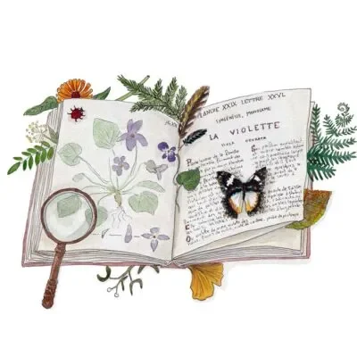 Atelier-creatif-Dessinez-votre-carte-postale-avec-Alice-Fauconnier-8211-19-02-2026-8211-Eaux-Bonnes_3486934