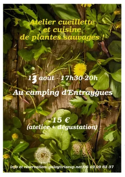 Atelier-cueillette-et-cuisine-de-plantes-sauvages-8211-Entraygues-sur-Truyere_3789180