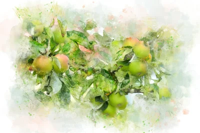 Atelier-culinaire-intergenerationnel-8211-Legumineux-et-fruits-du-jardins-8211-09-07-2025-8211-Ares_2730677