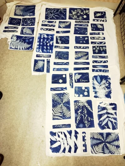 Atelier-cyanotype-sur-papier-8211-15-08-2026-8211-Payzac_3588874
