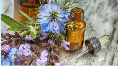 Atelier-d039herboristerie-les-plantes-au-feminin-8211-30-04-2027-8211-Orthez_3862224