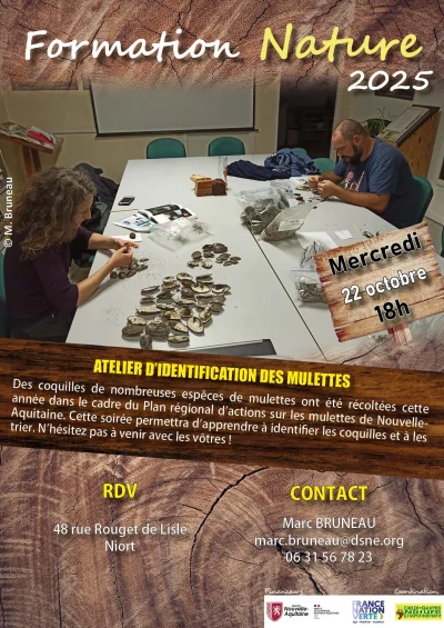 Atelier-d039identification-des-mulettes-8211-22-10-2025-8211-Niort_2981518