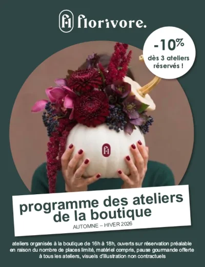 Atelier-decouverte-8211-Plantes-du-stress-et-du-sommeil-8211-21-11-2026-8211-Le-Bugue_3877649