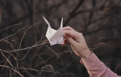 Atelier-decouverte-de-l039origami-8211-26-04-2025-8211-Neuville-sur-Vanne_2455751