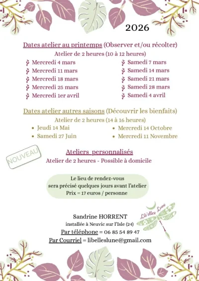 Atelier-decouverte-de-la-Gemmotherapie-8211-04-03-2026-8211-Neuvic_3431032
