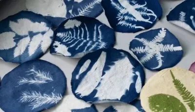 Atelier-decouverte-du-cyanotype-avec-la-plasticienne-Apolline-Pliez-8211-15-07-2026-8211-Prusy_3487496