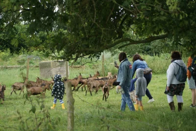 Atelier-decouverte-les-animaux-de-la-ferme-8211-Sepmes_3300148