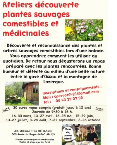 Atelier-decouverte-plantes-sauvages-comestibles-et-medicinales-8211-21-09-2025-8211-Arudy_2983199