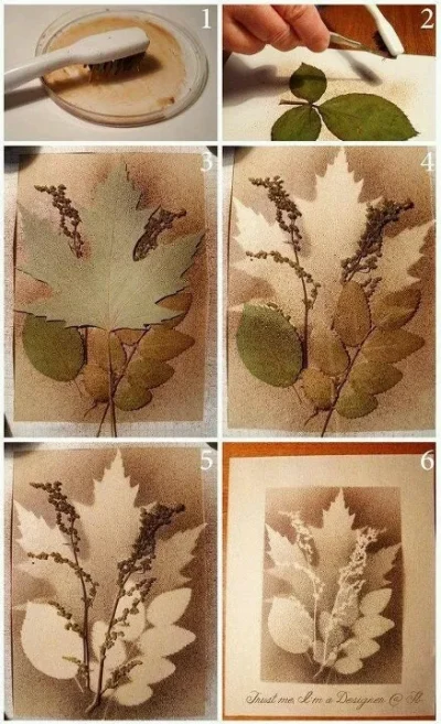 Atelier-du-samedi-8211-Herbier-en-empreintes-8211-29-08-2026-8211-Saint-Yrieix-la-Perche_3696582