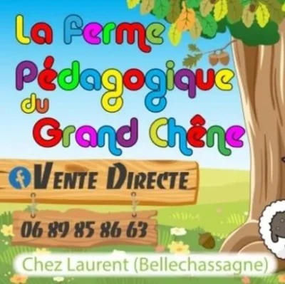 Atelier-fete-des-meres-a-la-ferme-8211-24-05-2025-8211-Bellechassagne_2621316