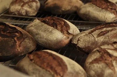 Atelier-initiation-fabrication-pain-au-levain-et-balade-en-foret-8211-17-10-2026-8211-Meracq_3864548