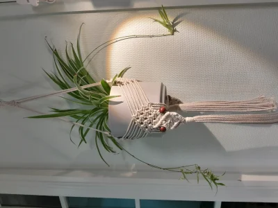 Atelier-macrame-8211-21-02-2026-8211-Melle_3466801