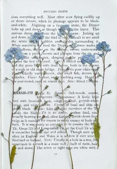 Atelier-marque-pages-poetiques-8211-Metz_3502114
