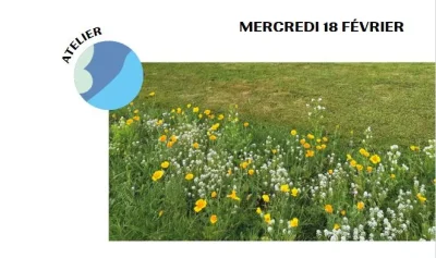 Atelier-mauvaises-herbes-8211-18-02-2026-8211-Saint-Martin-de-Seignanx_3485568