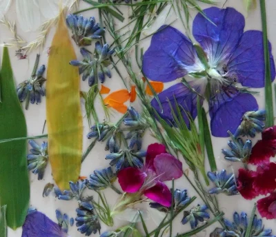 Atelier-nature-Fabrique-ton-herbier-8211-16-07-2025-8211-Marcenais_2720620