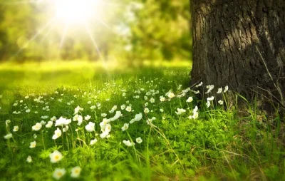 Atelier-nature-pour-les-moins-de-3-ans-Les-tout-petits-en-sortie-8211-28-05-2025-8211-Jargeau_2585216