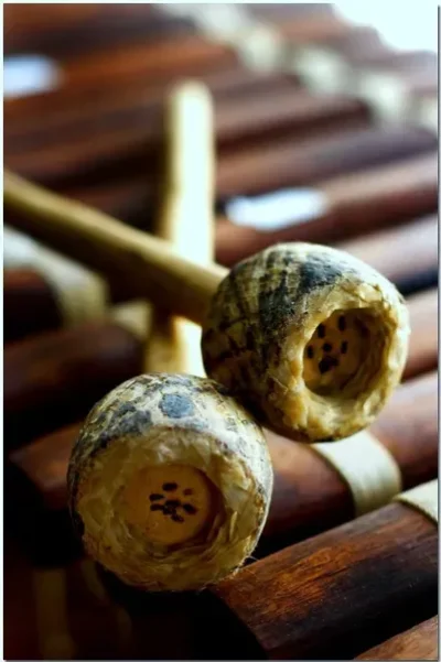 Atelier-percussions-8211-Severac-d039Aveyron_3378592