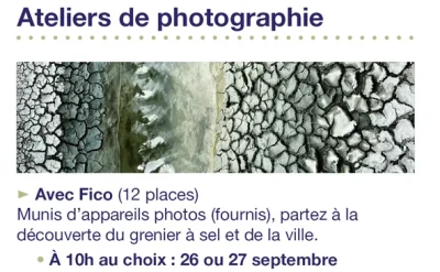 Atelier-photographie-8211-Chatillon-Coligny_3797463