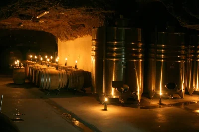 Atelier-quotChef-et-Vigneronquot-8211-Rochecorbon_1525011