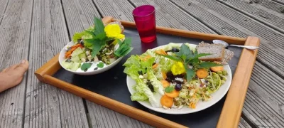 Atelier-quotCueillette-sauvage-et-cuisinequot-a-Aze-8211-Aze_2578542