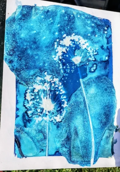 Atelier-quotCyanotype-Voyage-photographiquequot-8211-23-04-2025-8211-Civaux_2762136