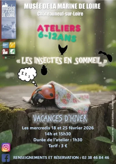 Ateliers-des-vacances-d039hiver-Les-insectes-en-sommeil-8211-18-02-2026-8211-Chateauneuf-sur-Loire_3464532