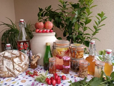 Ateliers-fermentation-et-probiotiques-comme-a-la-maison-8211-21-07-2025-8211-Vaulry_2770055