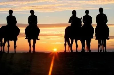 Atlantic-Club-Equestre-8211-Ferme-pedagogique_1132867