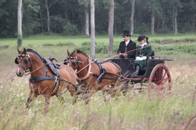Attelages-Alain-Bahuchet-8211-Gremevillers_3522449