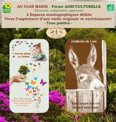 Au-Clos-Marie-8211-Ecomusee-de-l039ane-et-quotNotre-Mere-la-Terrequot-espace-scenographique_442551