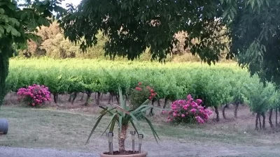 Au-Clos-de-la-Sabliere-8211-Rognes_2737237