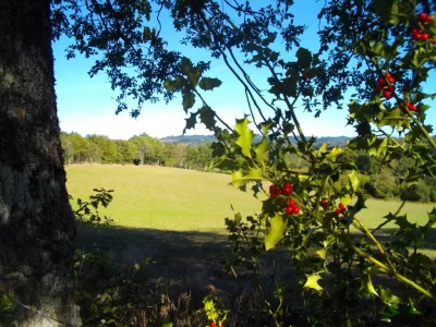 Au-charbon-variante-1-de-8-km_1027286