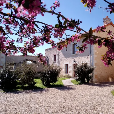 Au-repos-des-elfes-8211-Les-licornes-n039y-voient-que-du-bleu-8211-Braye-sous-Faye_2588070