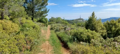 Aubagne-et-mont-des-Marseillais_712977
