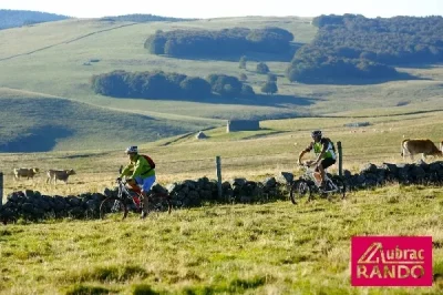 Aubrac-Rando-8211-Laguiole_2226399