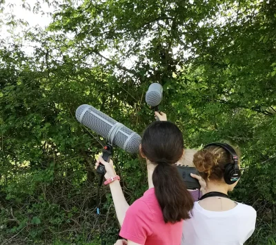 Audio-naturaliste-en-herbe-8211-Bruere-Allichamps_3626194
