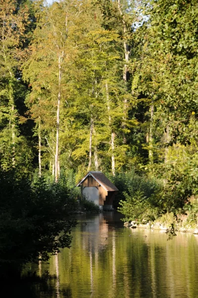 Augerville-la-Riviere_445642