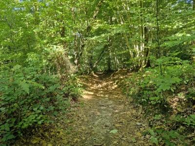 Autour-de-la-Grenerie-8211-Lamongerie_3276564-1